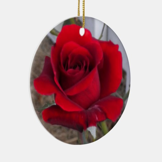 Ornement simple de rose rouge (Droite)