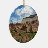 Ornement Slick Rock Zion National Park Utah (Droite)