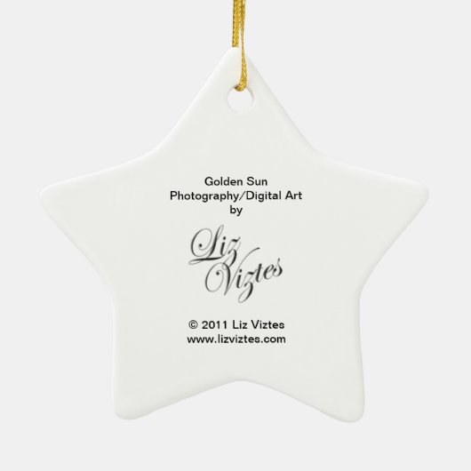 Ornement Soleil Or (Dos)