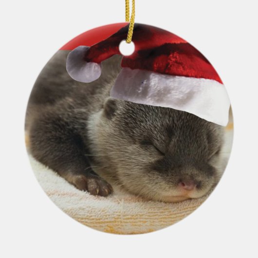 Ornement somnolent de loutre (Devant)