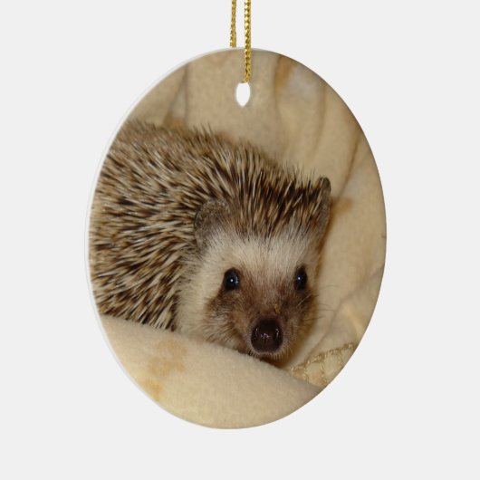 Ornement standard de visage de hérisson (Droite)