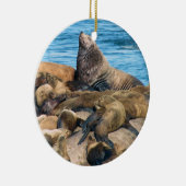 Ornement stellaire d'otarie et de joint de port (Droite)