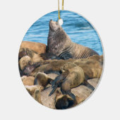 Ornement stellaire d'otarie et de joint de port (Gauche)