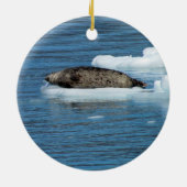 Ornement stellaire d'otarie et de joint de port (Dos)