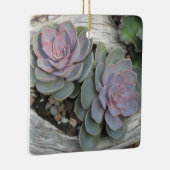 Ornement succulent Echeveria (Droite)