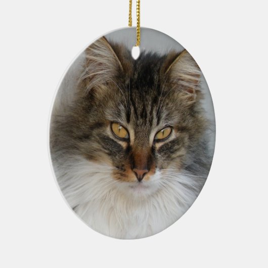 Ornement Tabby Cat (Droite)