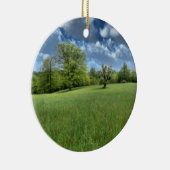 Ornement vert des Appalaches (Droite)