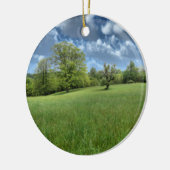Ornement vert des Appalaches (Gauche)