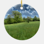 Ornement vert des Appalaches (Dos)