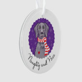 Ornement vilain et Nice (devant)