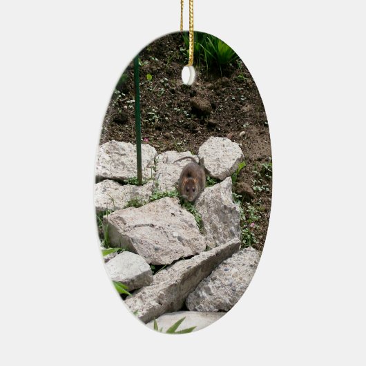 Ornement Vole (Droite)