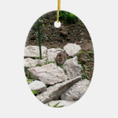 Ornement Vole (Devant)