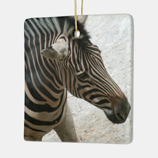 Ornement Zebra (Gauche)