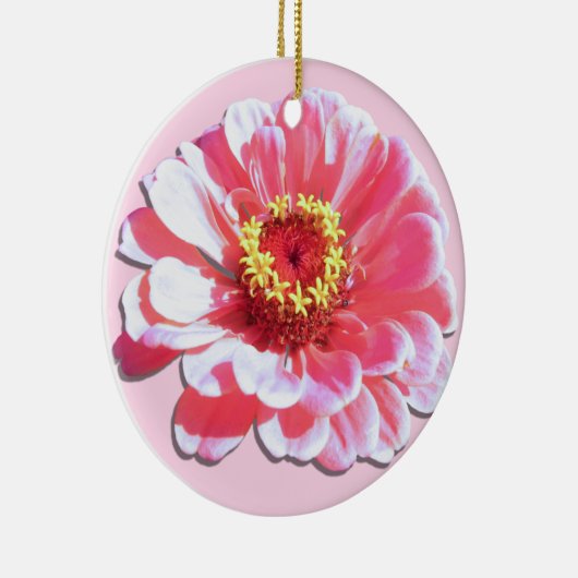 Ornement - Zinnia rose (Droite)