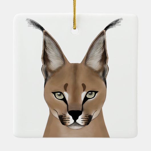 Ornements caracals (Dos)