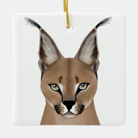 Ornements caracals (Devant)