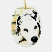 Ornements dalmatiens de sommeil (Dos)