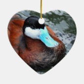 Ornements de canard affichés par bleu (Dos)