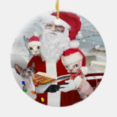 Ornements de chat de Sphynx (Dos)