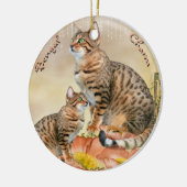 Ornements de chat du Bengale (Gauche)