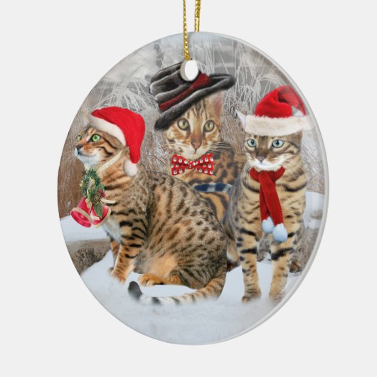 Ornements de chat du Bengale (Gauche)