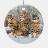 Ornements de chat du Bengale (Dos)