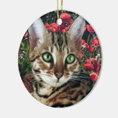 Ornements de chat du Bengale (Gauche)