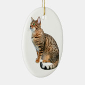 Ornements de chat du Bengale (Droite)