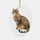 Ornements de chat du Bengale (Devant)