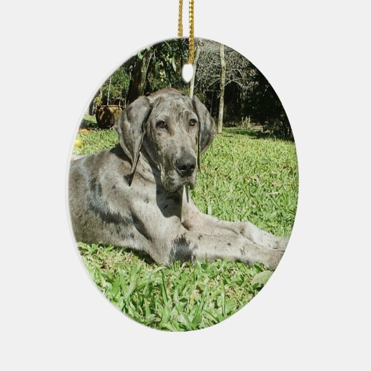 Ornements de chiot de great dane (Droite)