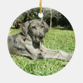 Ornements de chiot de great dane (Dos)