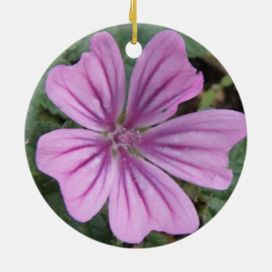 Ornements de fleur sauvage violette (Dos)