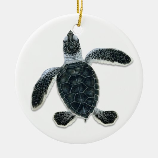Ornements de Hatchling de tortue verte (Devant)