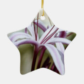 Ornements de lys (Dos)