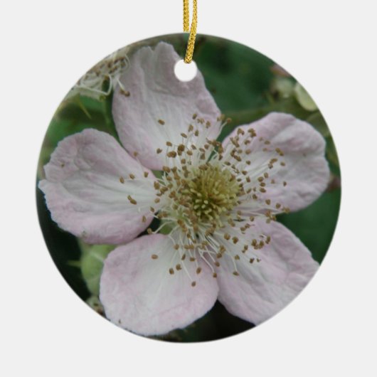 Ornements de macro à fleur de Blackberry (Devant)