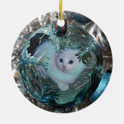 Ornements de Noël (Dos)