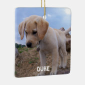 Ornements de Noël de chien Carré photo (Droite)