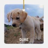 Ornements de Noël de chien Carré photo (Dos)