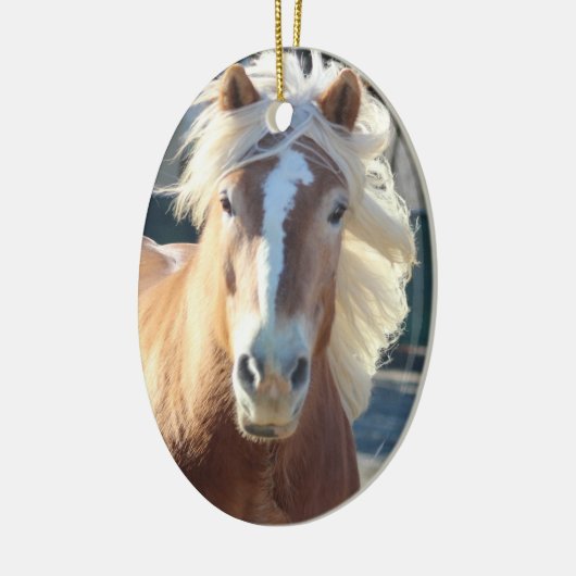 Ornements de Noël de Haflinger (Gauche)