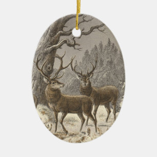 Ornements de Noël de trépointe de der de Buch