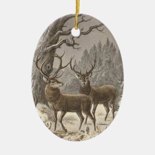 Ornements de Noël de trépointe de der de Buch (Devant)