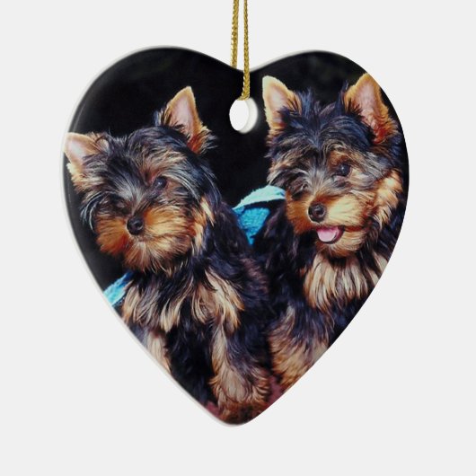 Ornements de Noël de Yorkie (Droite)