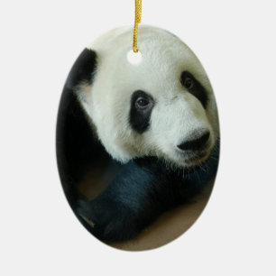 Ornements de Noël d'ours panda