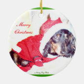 Ornements de Noël Miniature Dashcund - Elfe (Dos)