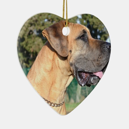 Ornements de photo de great dane (Droite)