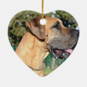 Ornements de photo de great dane (Dos)