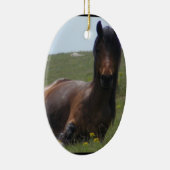Ornements de repos de poney (Droite)