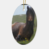 Ornements de repos de poney (Gauche)