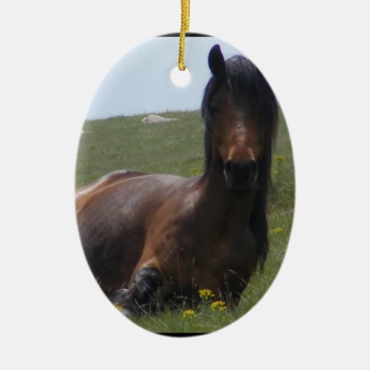 Ornements de repos de poney (Devant)