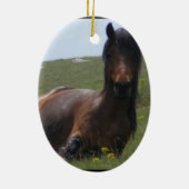 Ornements de repos de poney (Dos)